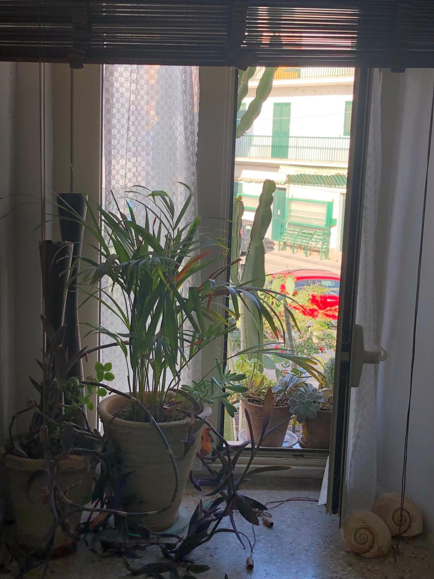 Le Muse Casa Vacanze Сколити Стая снимка